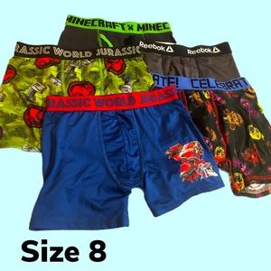 Boys 8 Underwear Bundle
